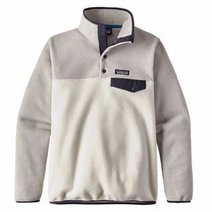 Patagonia Lightweight Synchilla Snap-T Pullover